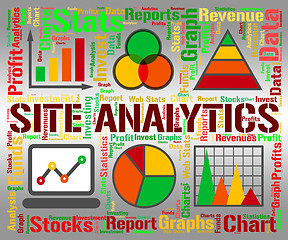 Image showing Site Analytics Indicates Infochart Chart And Web