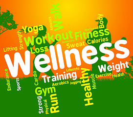 Image showing Wellness Words Indicates Health Check And Care
