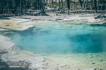 Image showing Turquoise water pond with hot water