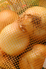 Image showing yellow onions 1