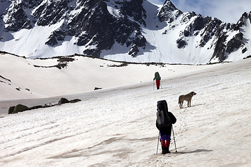 Image showing Two hikers with dog at spring snowy mountains in sun day