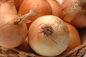 Image showing yellow onions 2