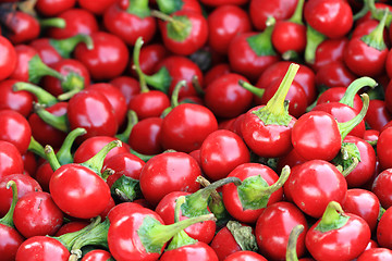 Image showing red chili food ingredient