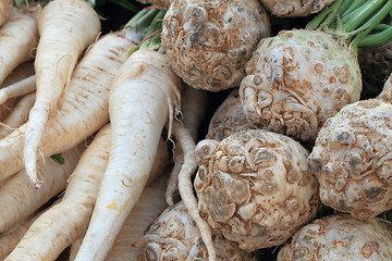 Image showing celery and parsley root 