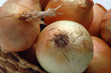 Image showing yellow onions 2