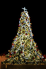 Image showing tree in Ostrava city