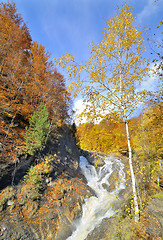 Image showing Autumn colors forest and small creek