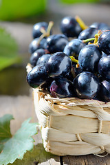 Image showing grapes in a basket 