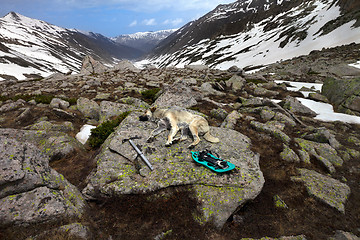 Image showing Dog sleeping on big stone with hiking equipment