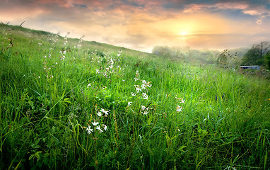 Image showing Countryside and fog