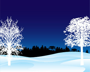 Image showing Winter landscape in the night