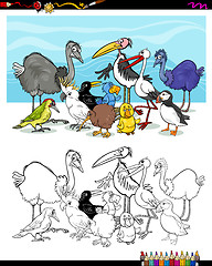 Image showing cartoon birds for coloring