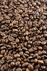 Image showing Nice brown Coffee beans as a background