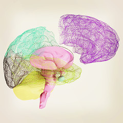 Image showing Creative concept of the human brain. 3D illustration. Vintage st