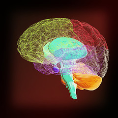 Image showing Creative concept of the human brain. 3D illustration. Vintage st