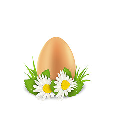 Image showing Traditional Easter egg with flowers camomiles and grass, copy sp