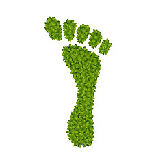 Image showing Human Footprint Made in Green Leaves