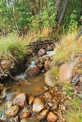 Image showing Wild Brook