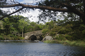 Image showing Bridge in Killarney National Park, County Kerry, Ireland, Europe