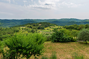 Image showing Beautiful mountain scenery forest