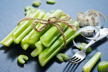 Image showing Celery