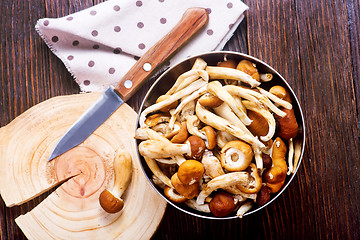 Image showing raw mushrooms