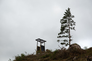 Image showing Hunting tower by a single pine tree