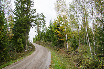 Image showing Winding gravel road in the woods