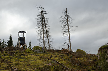 Image showing Hunting tower on a forest hill