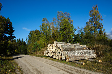 Image showing Aspen timber stack by roadside