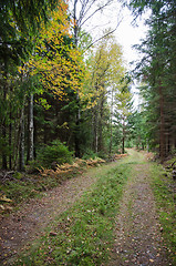 Image showing Fall colors by the roadside