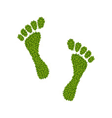 Image showing Human Footsteps Made in Green Leaves