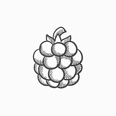 Image showing Raspberry sketch icon.