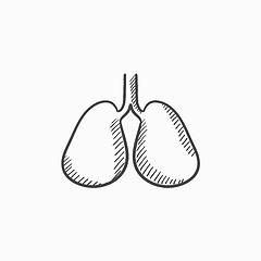 Image showing Lungs sketch icon.