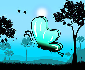 Image showing Butterfly At Nighttime Indicates Outdoors Countryside And Picturesque