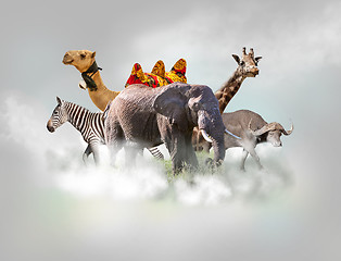 Image showing Wild animals group - giraffe, elephant, zebra above white clouds in gray sky