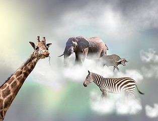 Image showing The giraffe, elephant, zebra above white clouds in gray sky