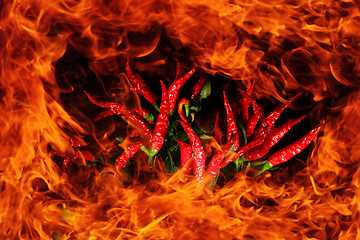 Image showing fire and chili background