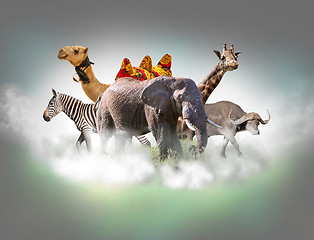 Image showing Wild animals group - giraffe, elephant, zebra above white clouds in gray sky