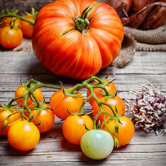 Image showing harvest summer tomatoes