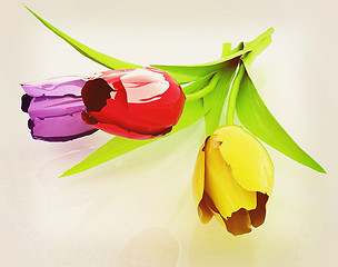 Image showing Tulip flower. 3D illustration. Vintage style.