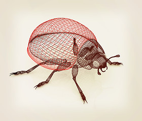 Image showing beetle. 3D illustration. Vintage style.