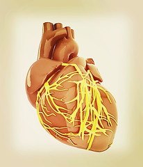 Image showing Human heart. 3D illustration. Vintage style.