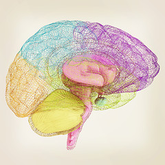 Image showing Creative concept of the human brain. 3D illustration. Vintage st