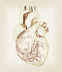 Image showing Human heart. 3D illustration. Vintage style.