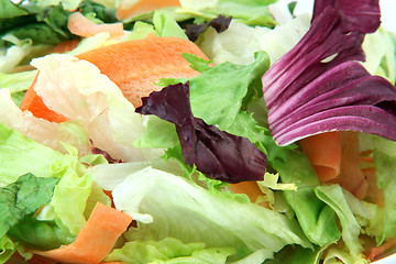 Image showing salad texture