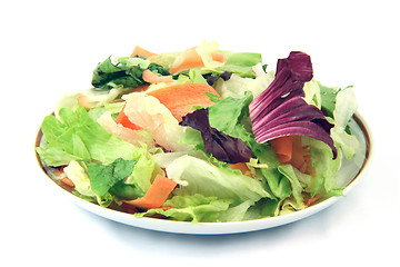 Image showing healthy eating salad