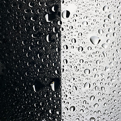 Image showing Water drops black and white background