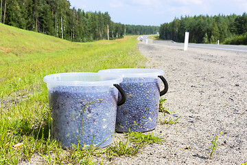 Image showing Natural wild blueberries in buckets on roadside