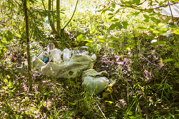 Image showing Garbage spoils ecology of nature